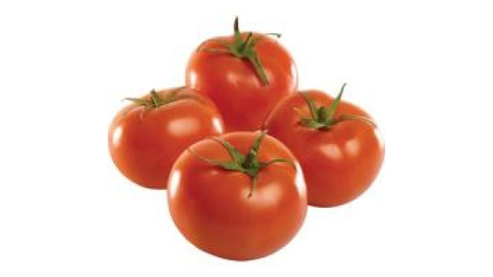 POMODORO TONDO INSALATARO