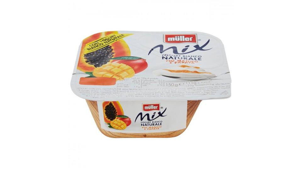 Brasile Yogurt Bianco + Mango e Papaya