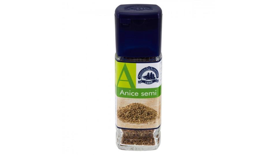 Anice Semi