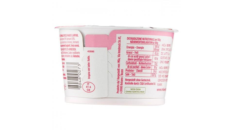 Skyr Lampone