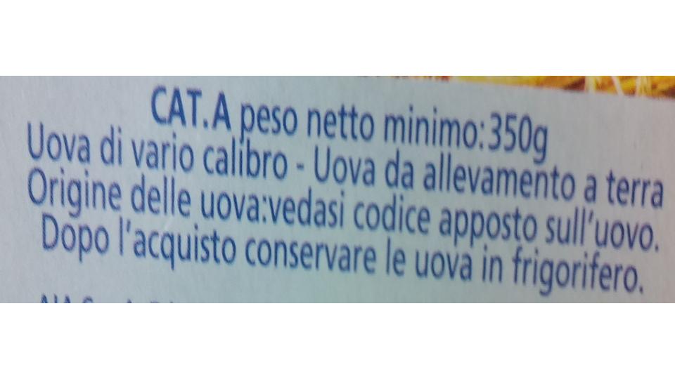 Aequilibrium da Galline Allevate a Terra 6 Uova Fresche