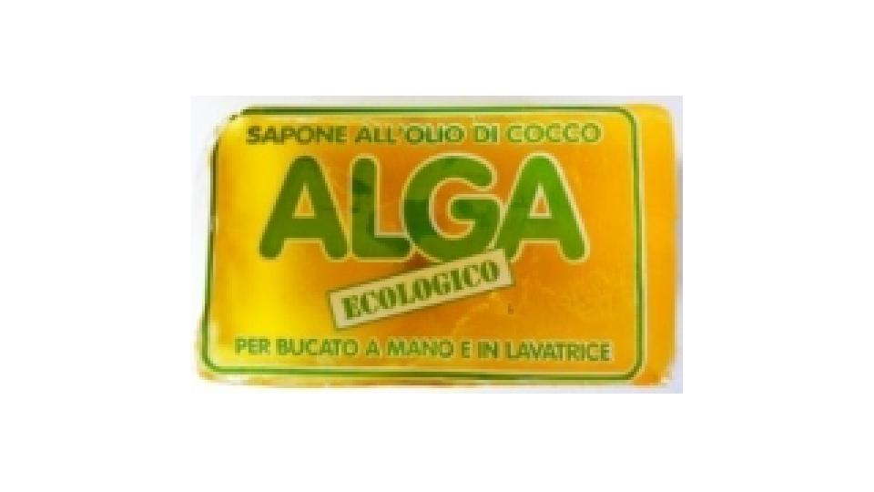 Bianco Sol Cocco