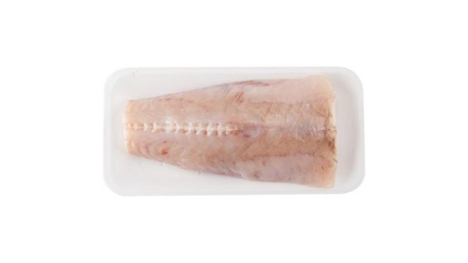 Rana Pescatrice