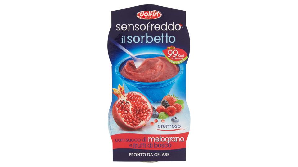 Sensofreddo il Sorbetto con Succo di Melograno e Frutti di Bosco
