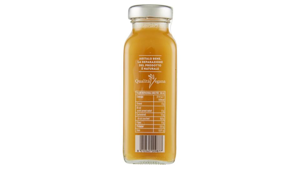 Ananas Lime Zenzero 100% Succo Bio