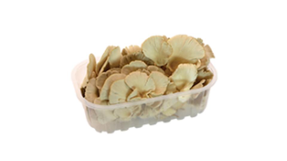 Funghi Champignon Bianchi