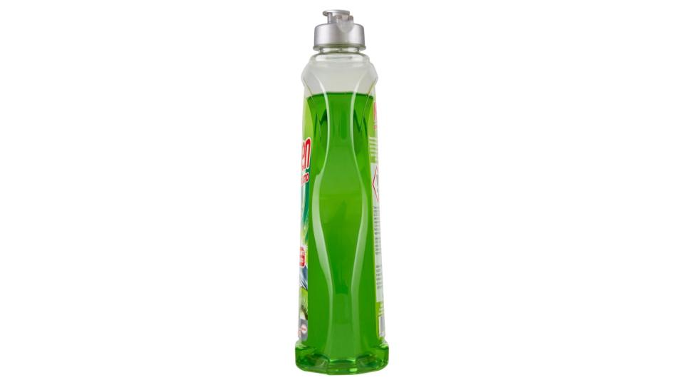 Concentrato Kiwi .