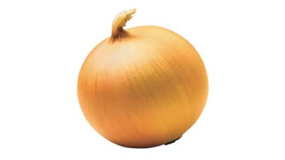 Cipolla Gialla