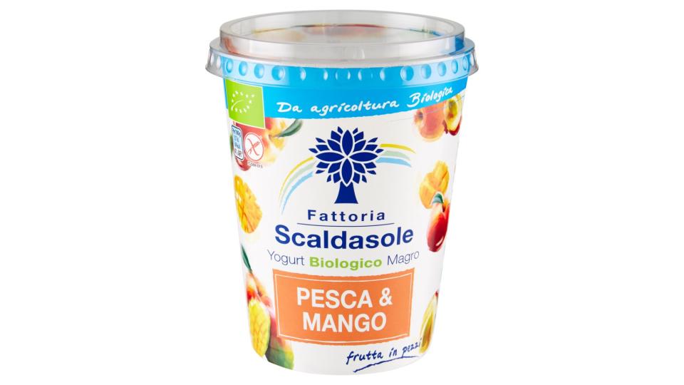 Yogurt Biologico Magro Pesca & Mango