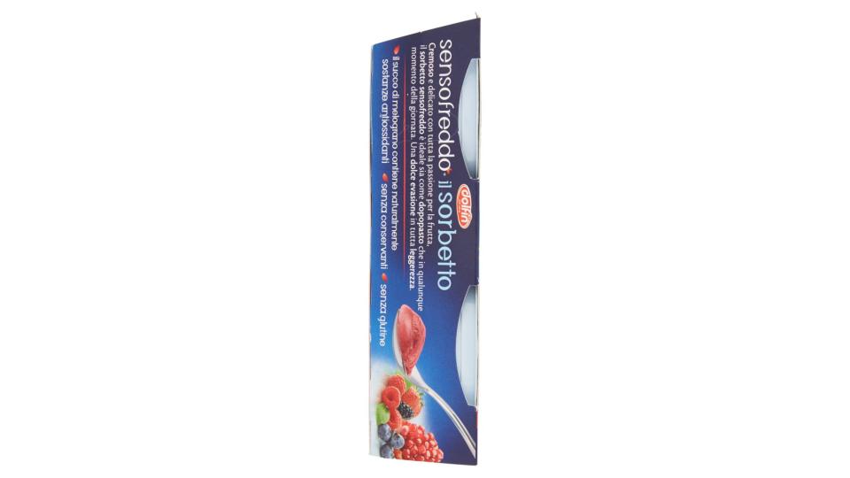 Sensofreddo il Sorbetto con Succo di Melograno e Frutti di Bosco