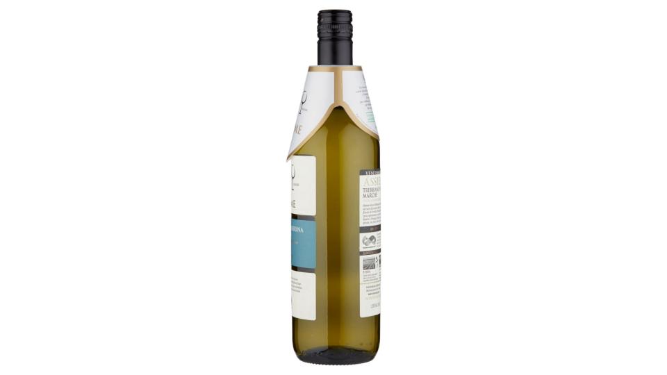 Assieme Trebbiano-passerina Marche Igt