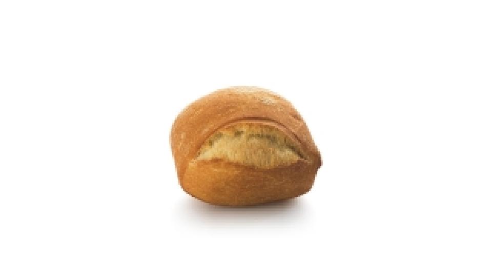 Zoccoletto Romagnolo