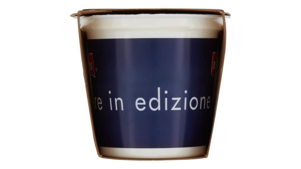 Marrakech Yogurt Cremoso all'Arancia e Zenzero