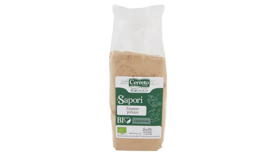 I Sapori Zenzero Polvere Bio