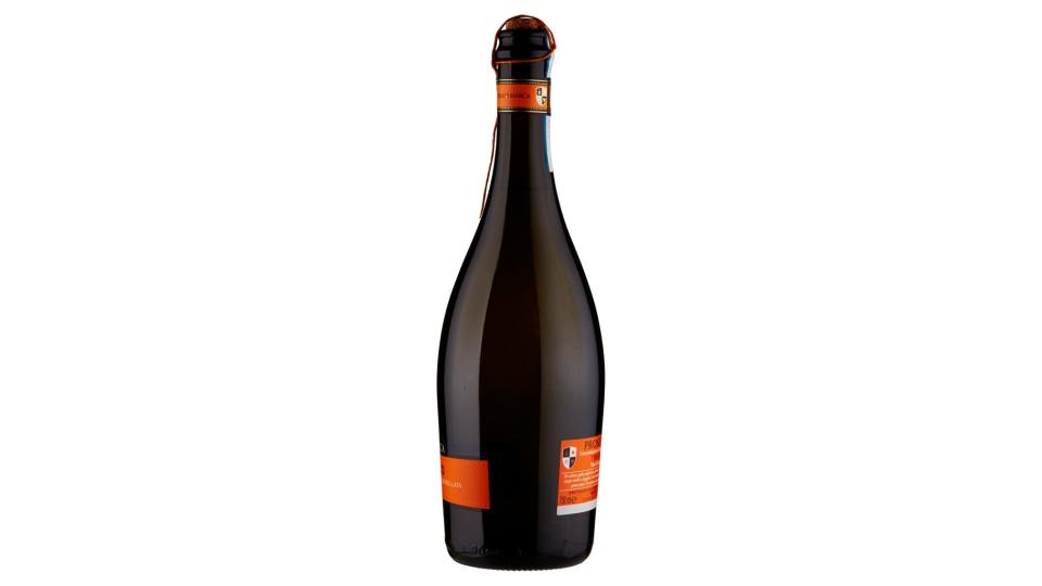 Prosecco Doc Treviso Vino Frizzante