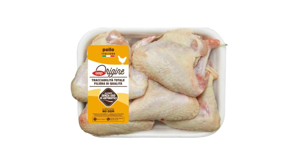 Ali di Pollo