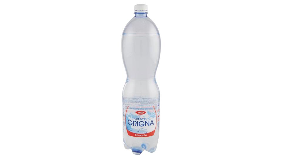Sorgente Grigna Frizzante