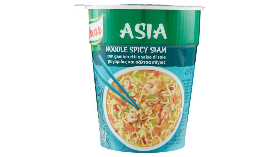 Asia Noodle Spicy Siam con Gamberetti e Salsa di Soia