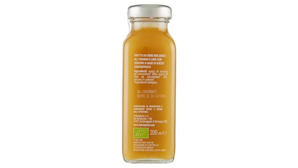 Ananas Lime Zenzero 100% Succo Bio