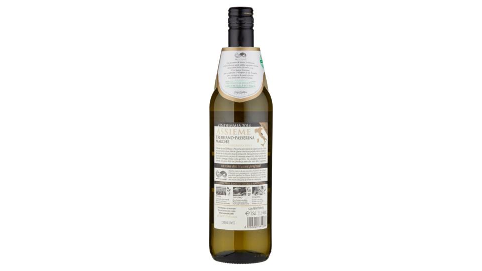 Assieme Trebbiano-passerina Marche Igt