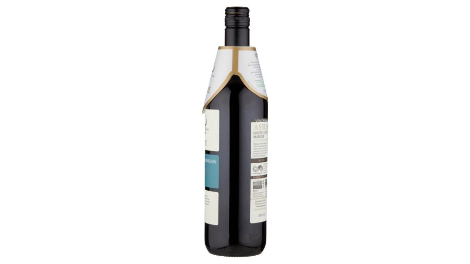 Assieme Sangiovese-cabernet Sauvignon Marche Igt