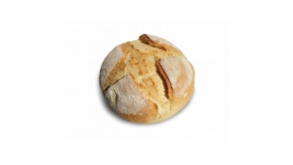Pane di Grano Duro