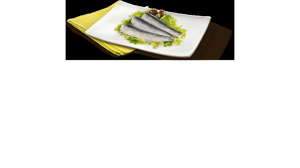 Filetto di Alici Decongelate
