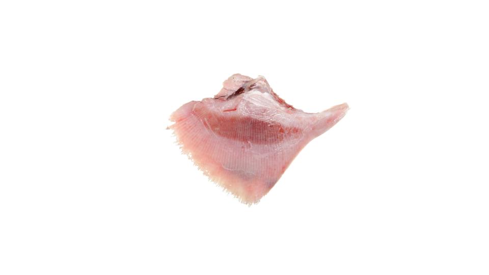 Filetto di Ali di Razza Nord Atlantica