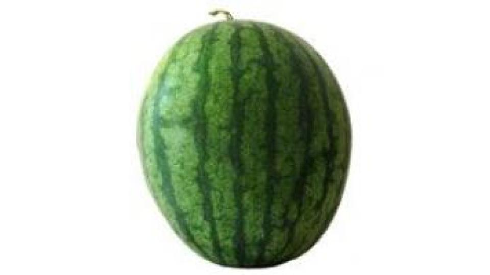 Cocomero Baby It 1,5-3,5 I^ Sf