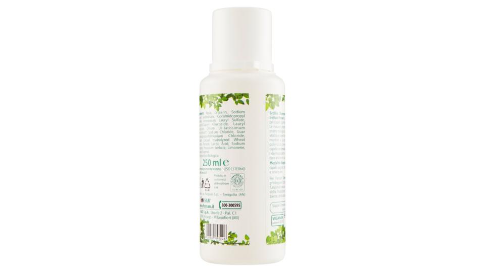 Ecobio Shampoo Capelli Normali e Trattati con Estratto Biologico di Semi di Lino