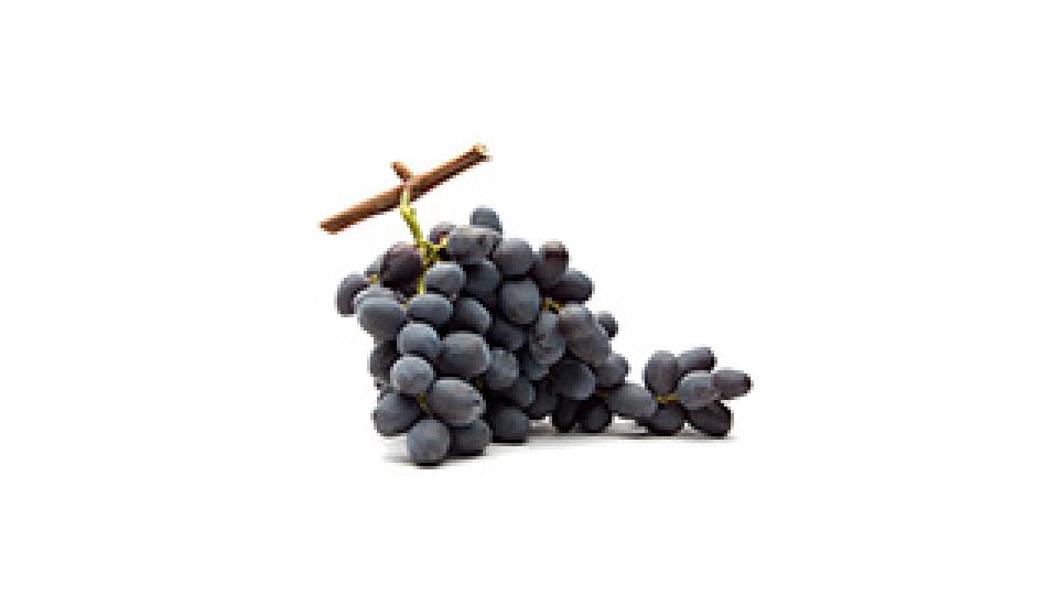 Uva da Tavola Nera