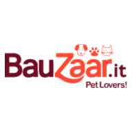Bauzaar